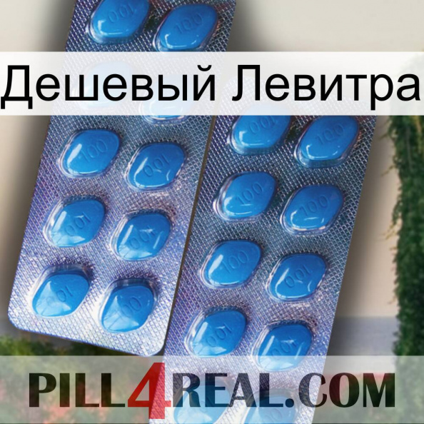 Дешевый Левитра viagra2.jpg